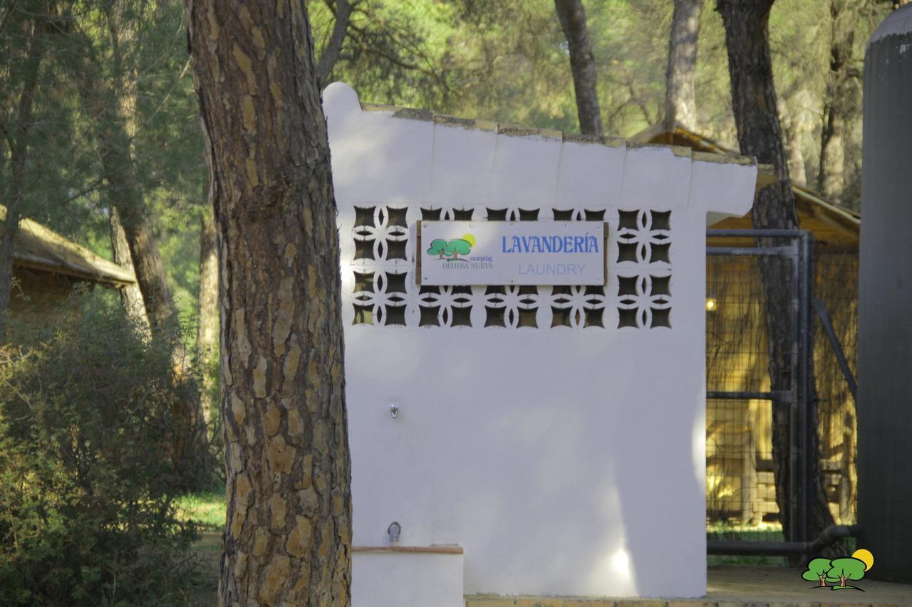 Hotel Camping Dehesa Nueva Aznalcázar Exteriér fotografie